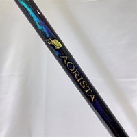 アオリスタ５００